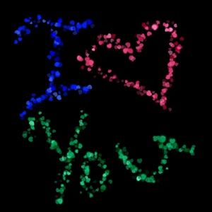 Meet your Posher, Destiny